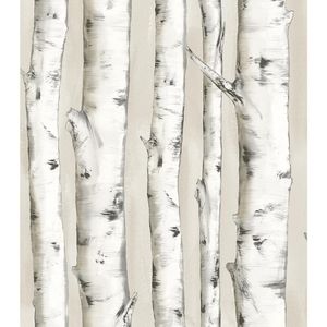 Wallpaper Pioneer Off-White Birch Tree